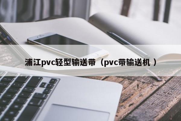 浦江pvc輕型輸送帶（pvc帶輸送機 ）