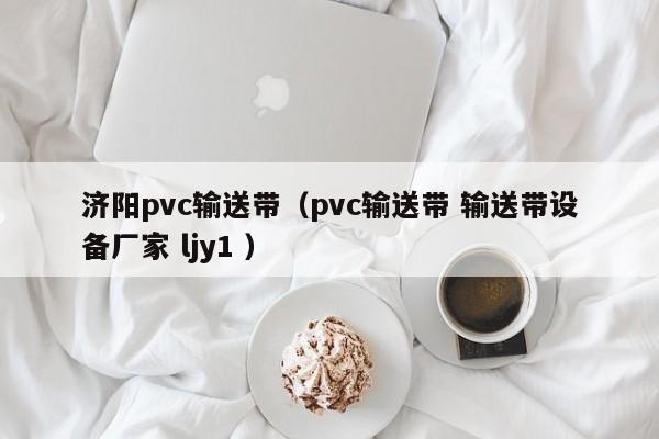 濟陽pvc輸送帶（pvc輸送帶 輸送帶設備廠家 ljy1 ）