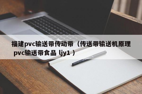 福建pvc輸送帶傳動帶（傳送帶輸送機原理 pvc輸送帶食品 ljy1 ）